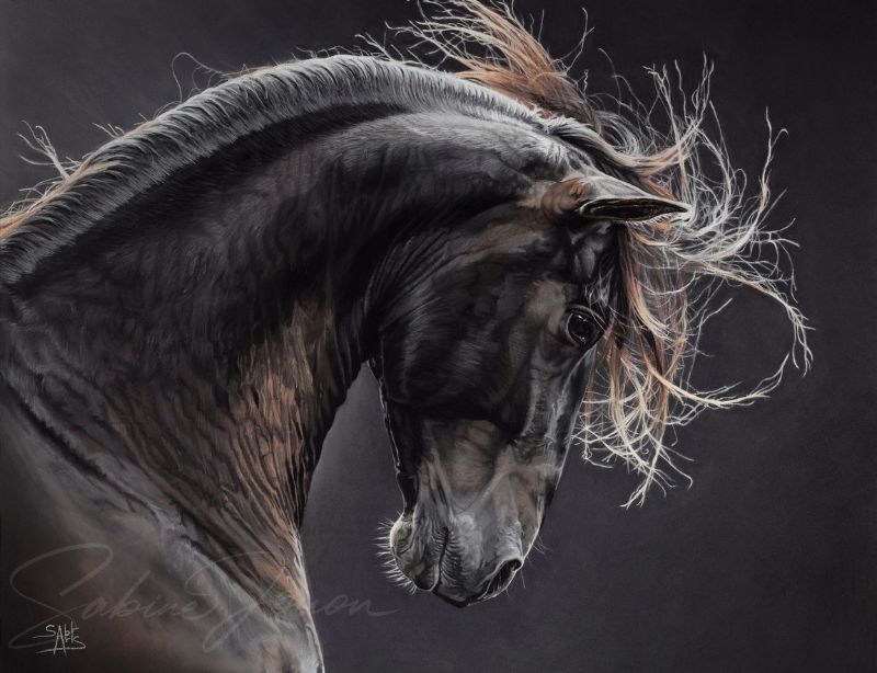 portrait animalier de l'œuvre Éminence, réalisé au pastel sec par l'artiste Sabine Jouon pour la collection Regard Sauvage.