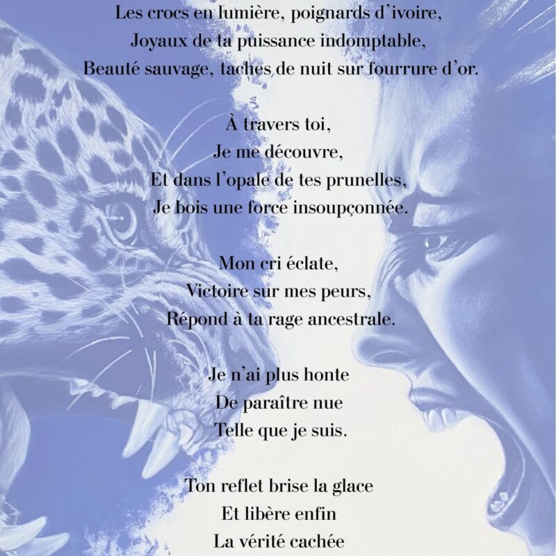 Dans le miroir,la fureur poème de la collection Outrebleu-Sabine Jouon