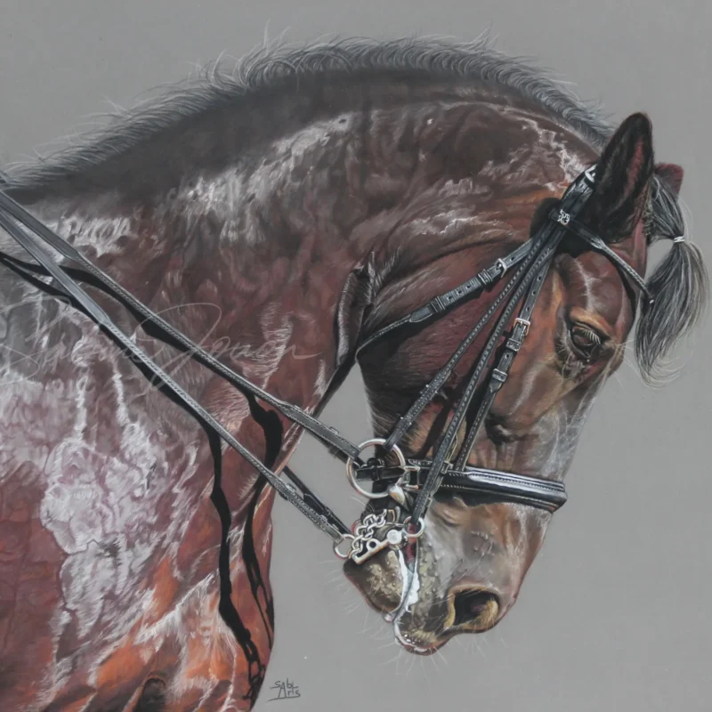 Portrait animalier de l'œuvre Arion, réalisé au pastel sec par l'artiste Sabine Jouon pour la collection Regard Sauvage