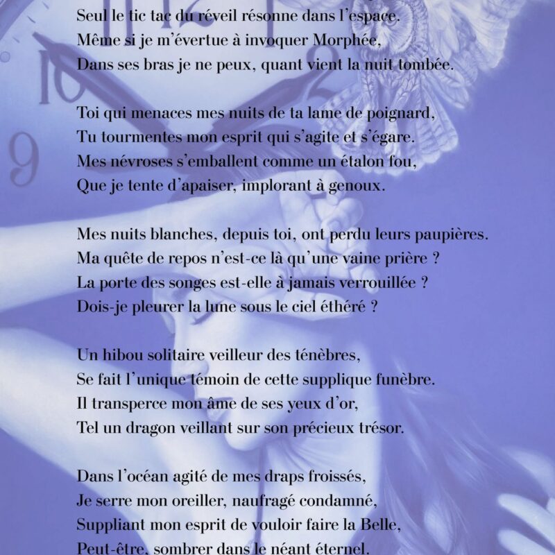 Insomnie poème de la collection Outrebleu-Sabine Jouon